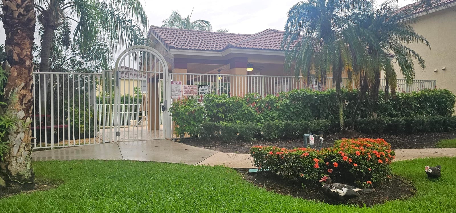 4810 Mcgill Street, Boynton Beach, FL 33436 photo 15