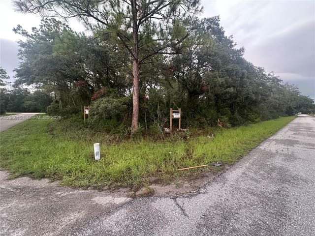 3362 Gossamer Avenue, Lake Placid, FL 33852