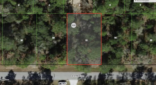 3073 W EUNICE Drive, Citrus Springs, Dunnellon, FL
