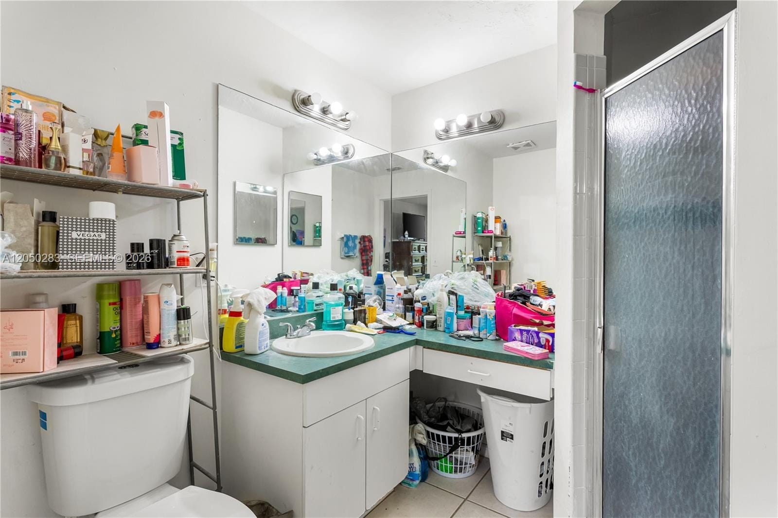 1728 NE 22nd Terrace, FL 33909 photo 22