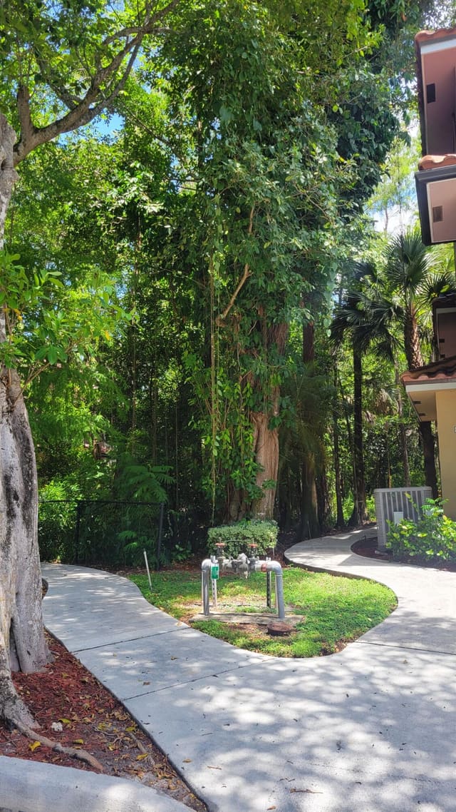6920 W Sample Road, Coral Springs, FL 33067