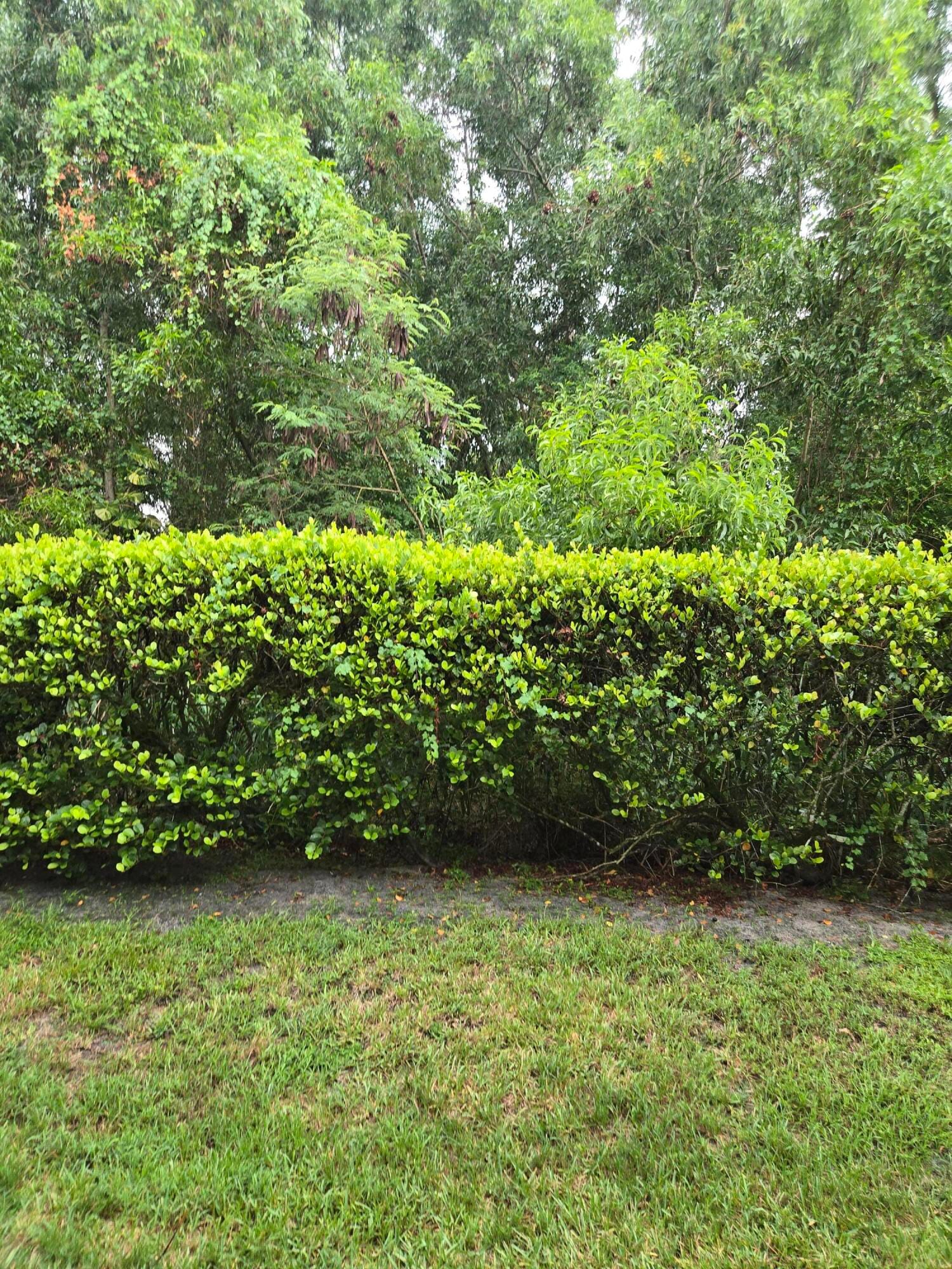 4675 PALMBROOKE Circle — photo 6