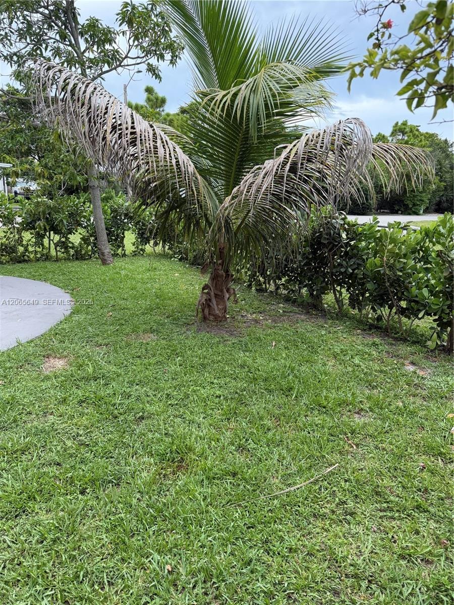 10860 NE 11th Avenue, Miami, FL 33161 photo 23