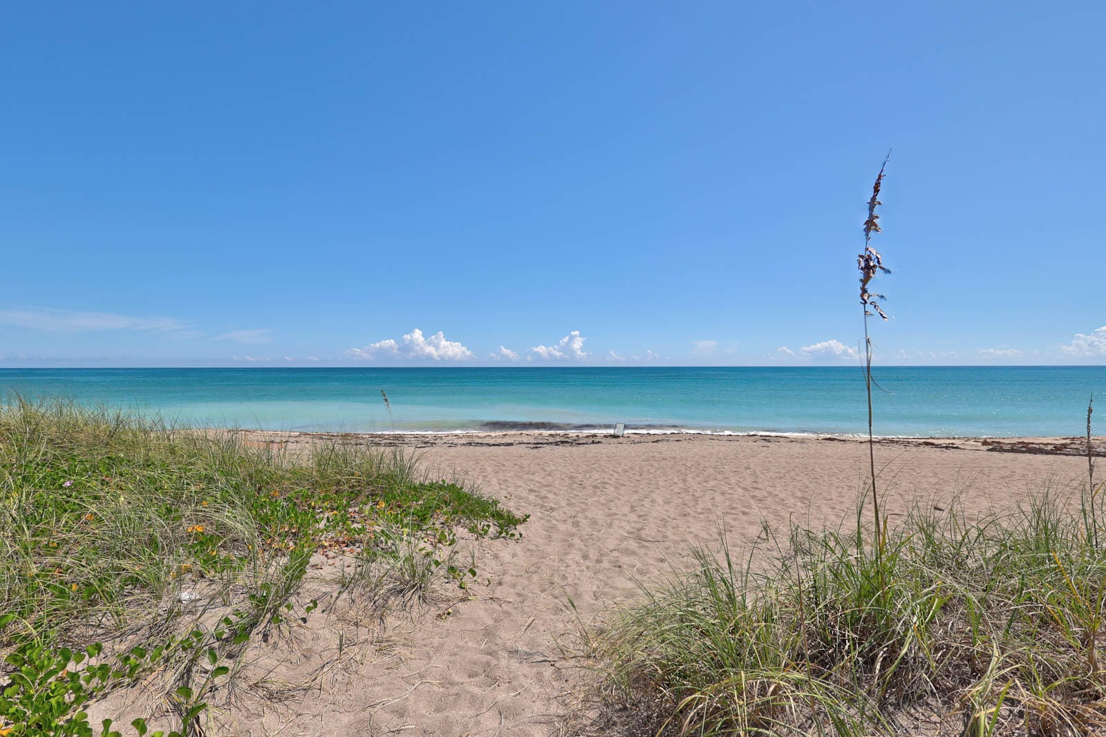 1902 MIMOSA Avenue, Fort Pierce, FL 34949