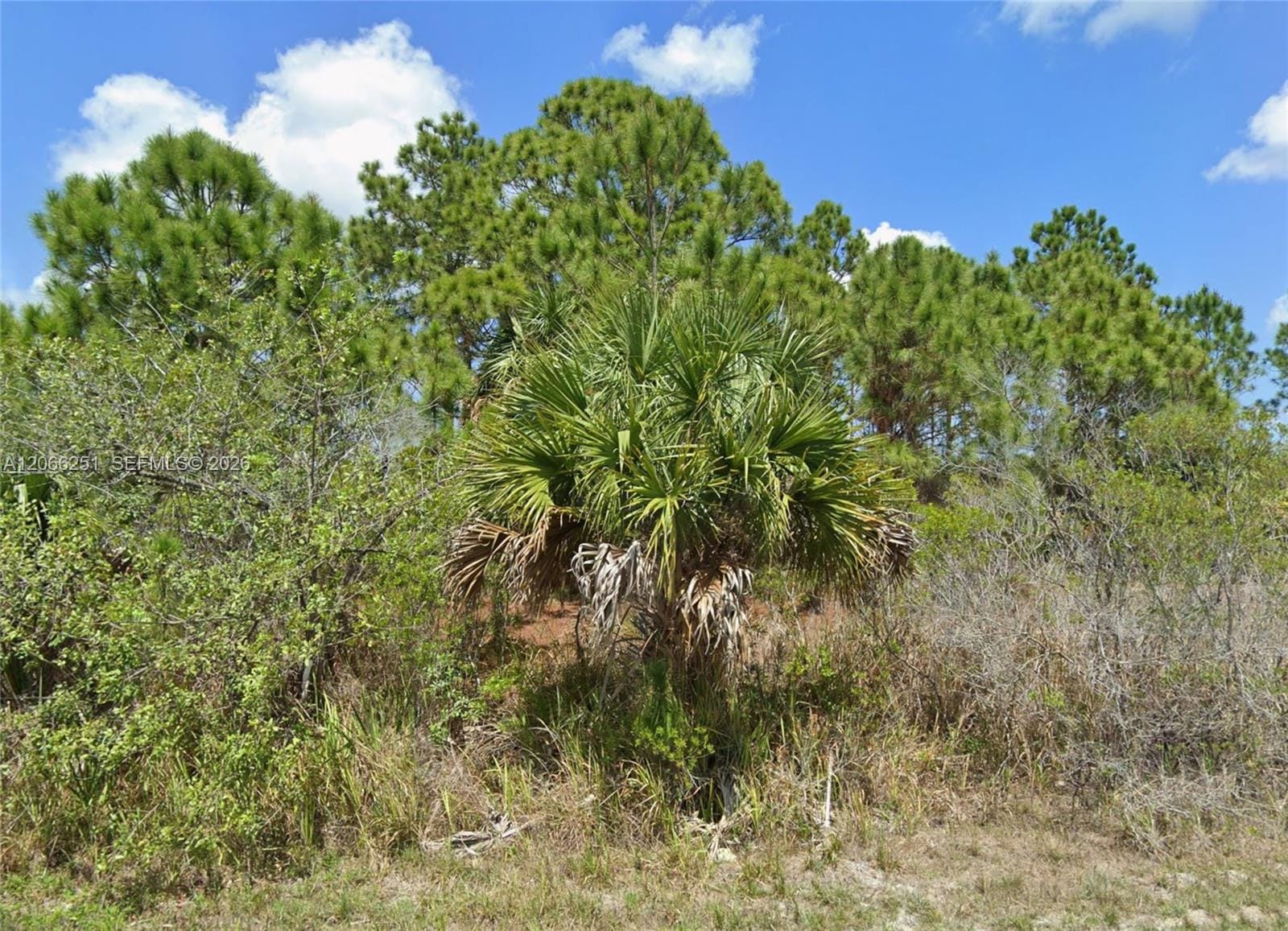 740 SW Opal, Palm Bay, FL 32908 photo 4