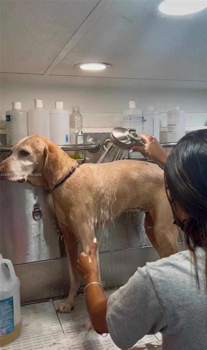 Mobile Pet Grooming — photo 2