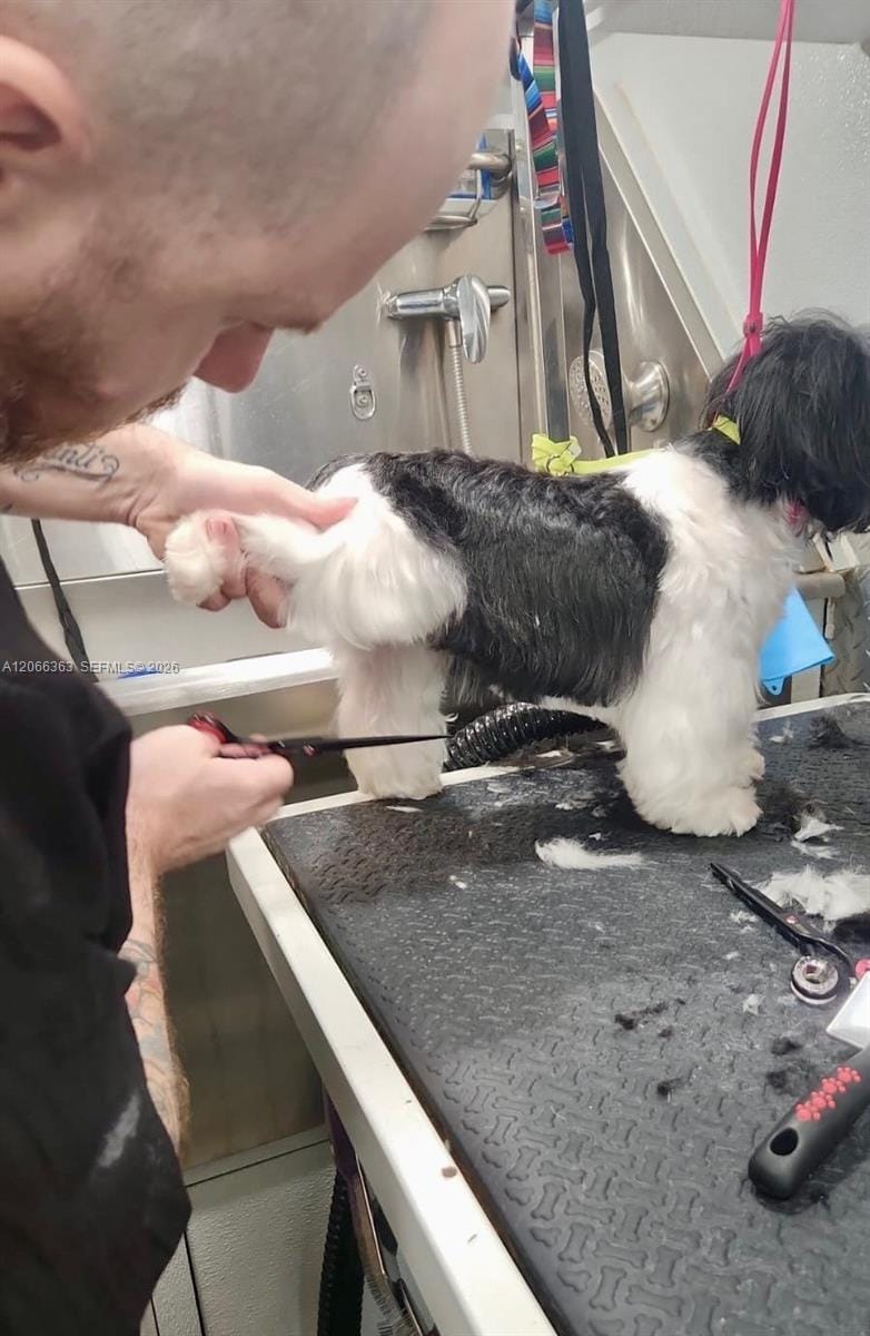 Mobile Pet Grooming — photo 6