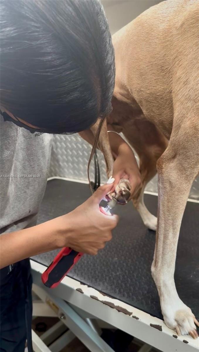 Mobile Pet Grooming — photo 8