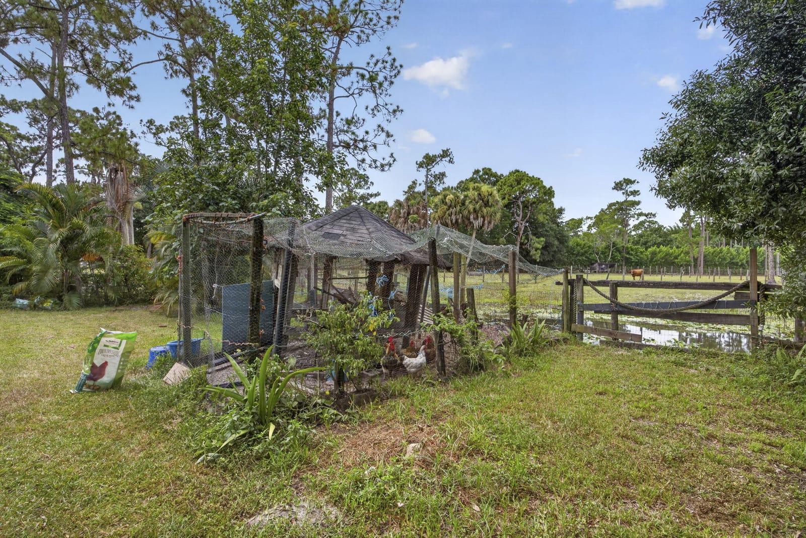 15182 Steffen Lane, Loxahatchee Groves, FL 33470 photo 29
