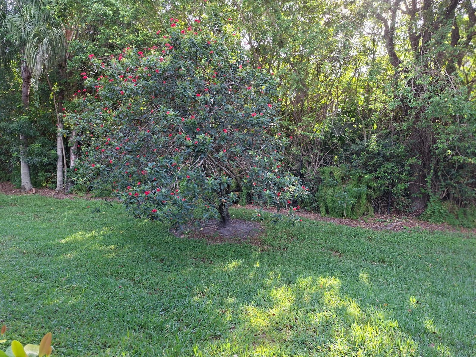 10032 Andrea Lane — photo 6
