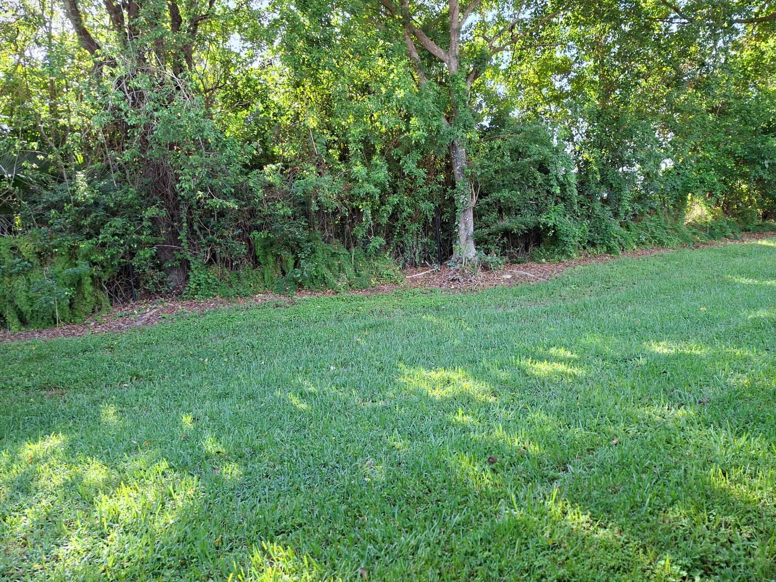 10032 Andrea Lane — photo 7