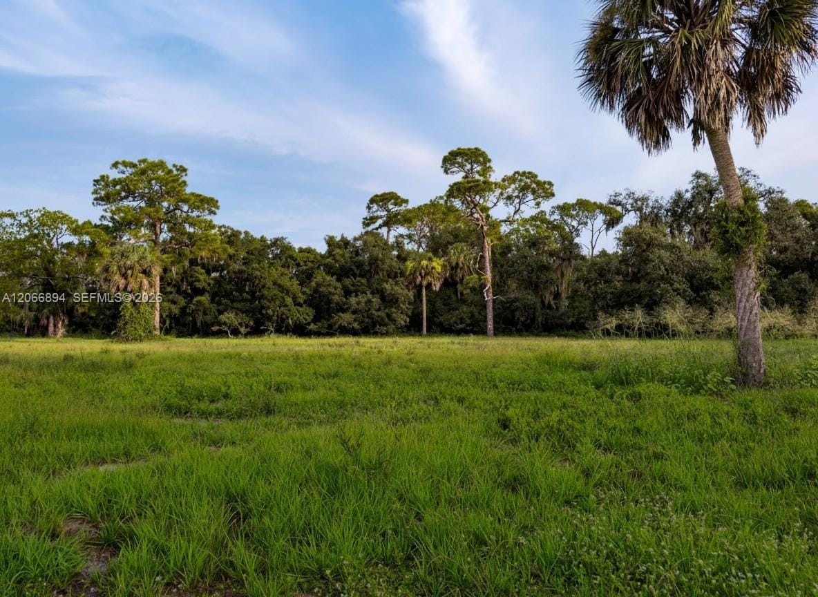 3291 Fort Denaud Road, LaBelle, FL 33935 photo 2
