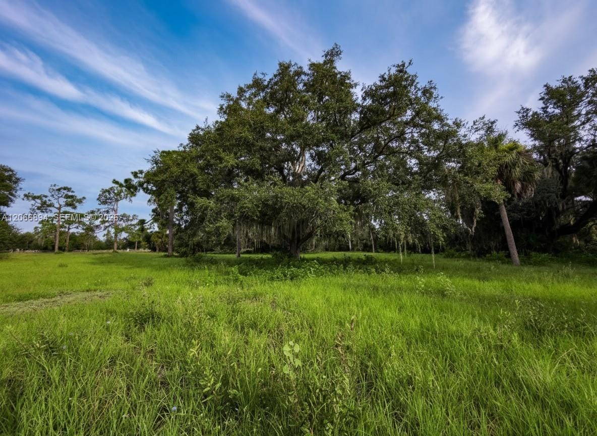 3291 Fort Denaud Road, LaBelle, FL 33935 photo 3