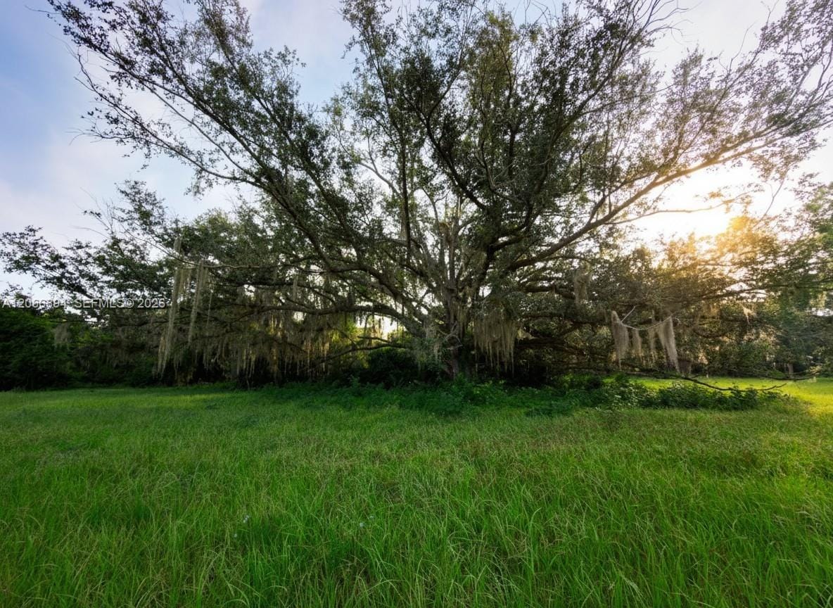3291 Fort Denaud Road, LaBelle, FL 33935 photo 4