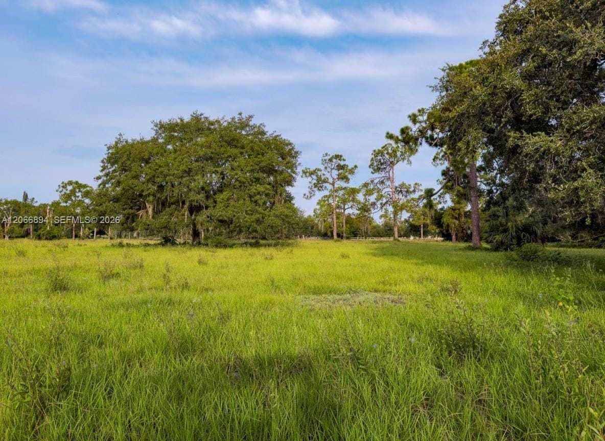 3291 Fort Denaud Road, LaBelle, FL 33935 photo 6