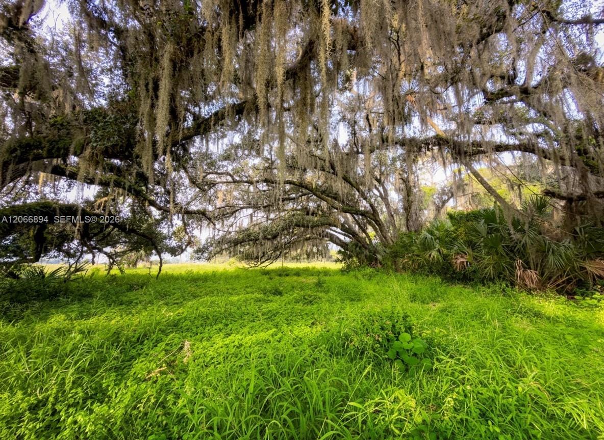 3291 Fort Denaud Road, LaBelle, FL 33935 photo 7