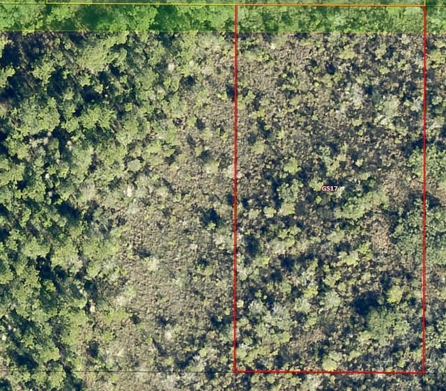 0 Salyers Road, FL 34736