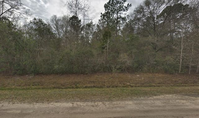10135 Nikolich Avenue, Hastings, FL 32145