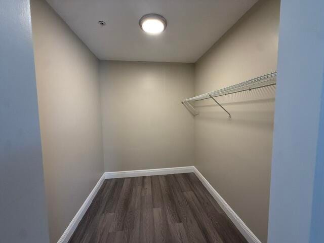 4393 Windsor Avenue 25 — photo 11
