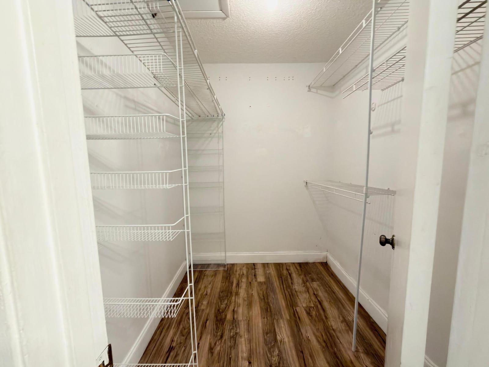 6287 Scotch Pine Lane — photo 11