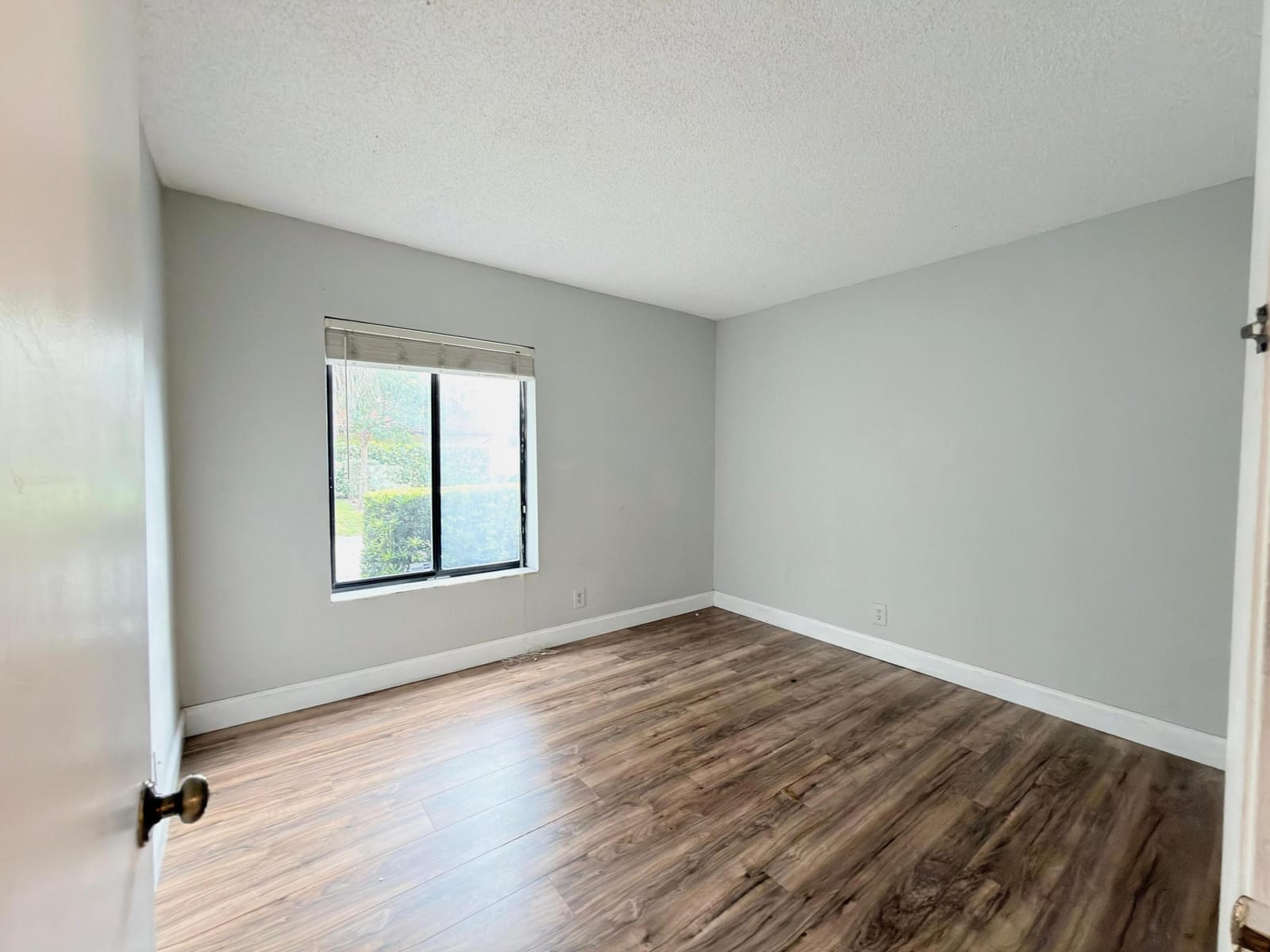 6287 Scotch Pine Lane — photo 12