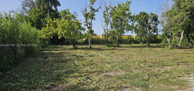 197 Ave / Sw 144th Street, Miami, FL 33196