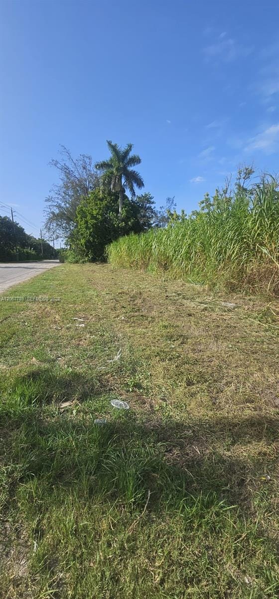 197 Ave / Sw 144th Street, Miami, FL 33196 photo 4