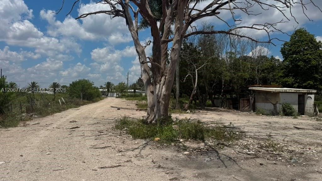 197 Ave / Sw 144th Street, Miami, FL 33196 photo 8