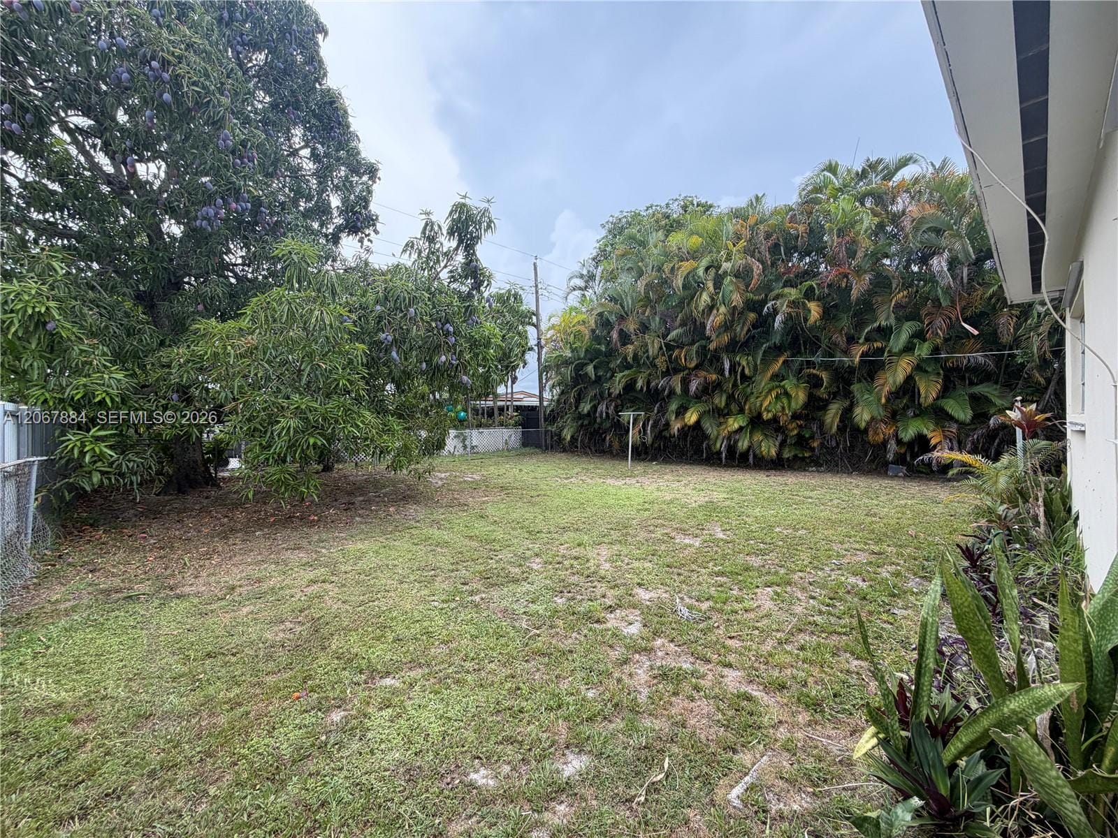 733 W 35th Street, Hialeah, FL 33012 photo 25