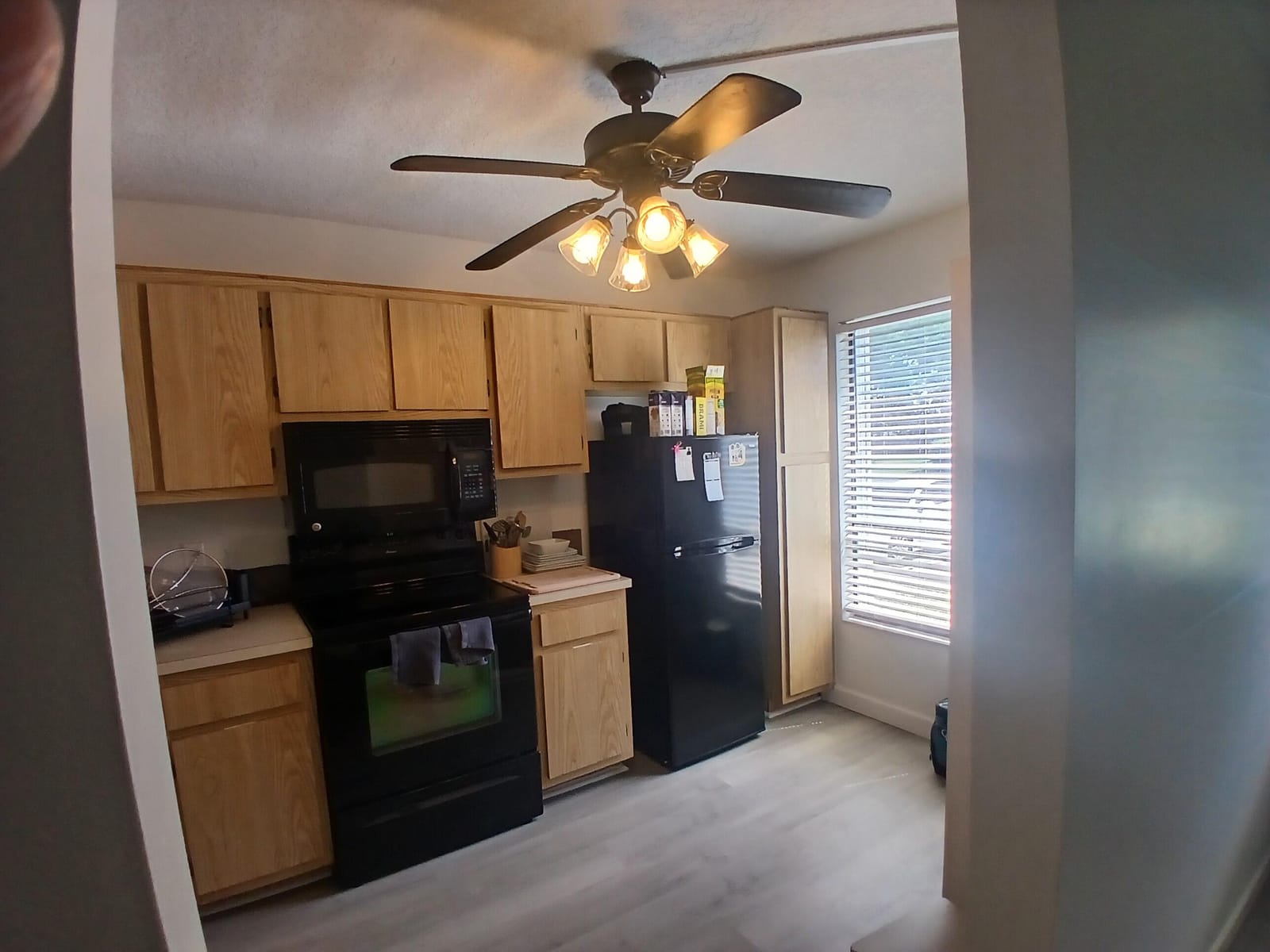 833 Hill Drive D — photo 4