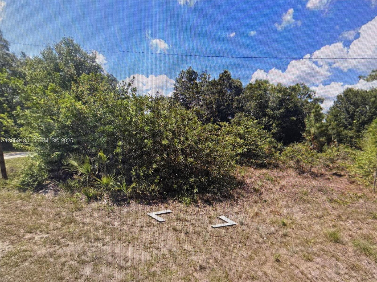 900 Michael Avenue, Lehigh Acres, FL 33936 photo 4