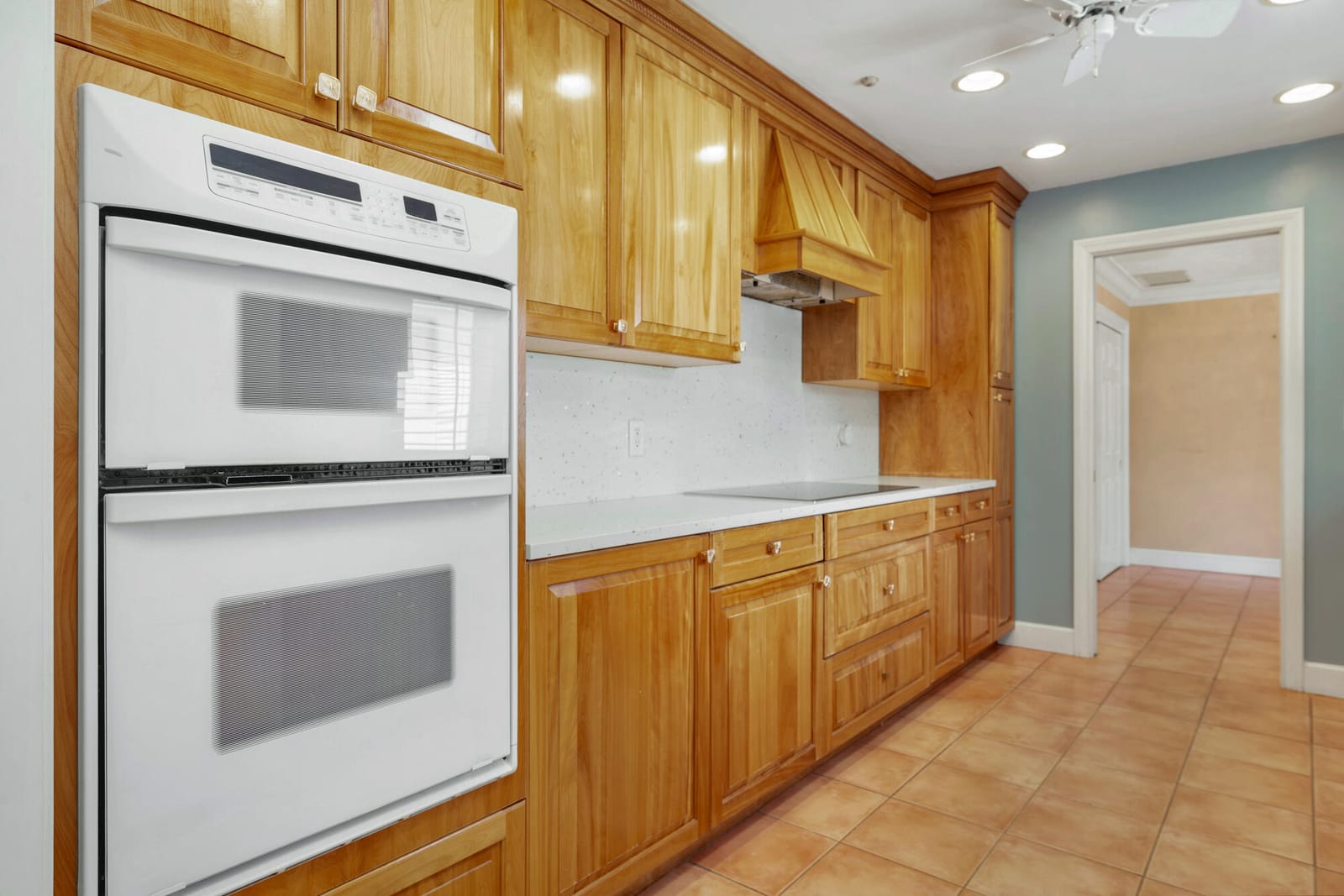 245 COLONIAL Lane, Palm Beach, FL 33480 photo 10