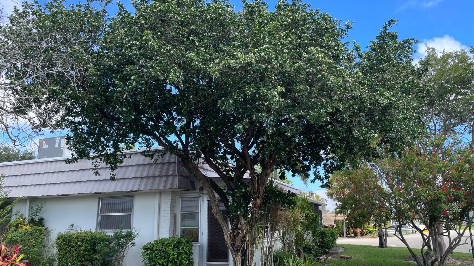 166 VALENCIA G Drive 166, Delray Beach, FL 33446 photo 16