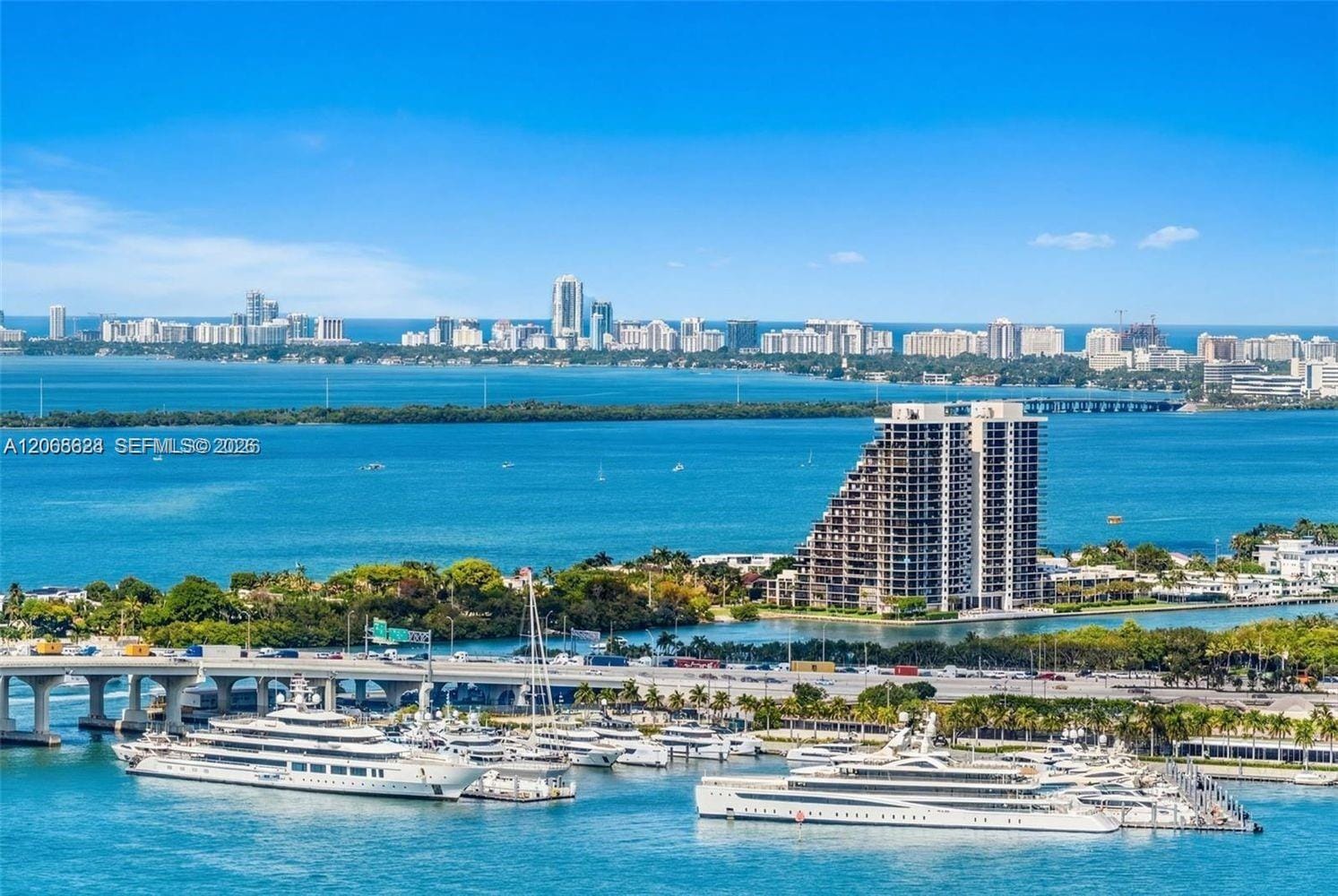 244 Biscayne Boulevard 3702 — photo 11