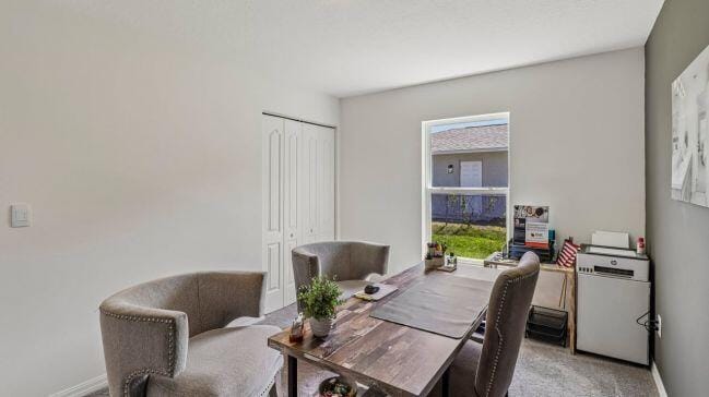 Tbd TULIP Drive, Sebastian, FL 32958 photo 19