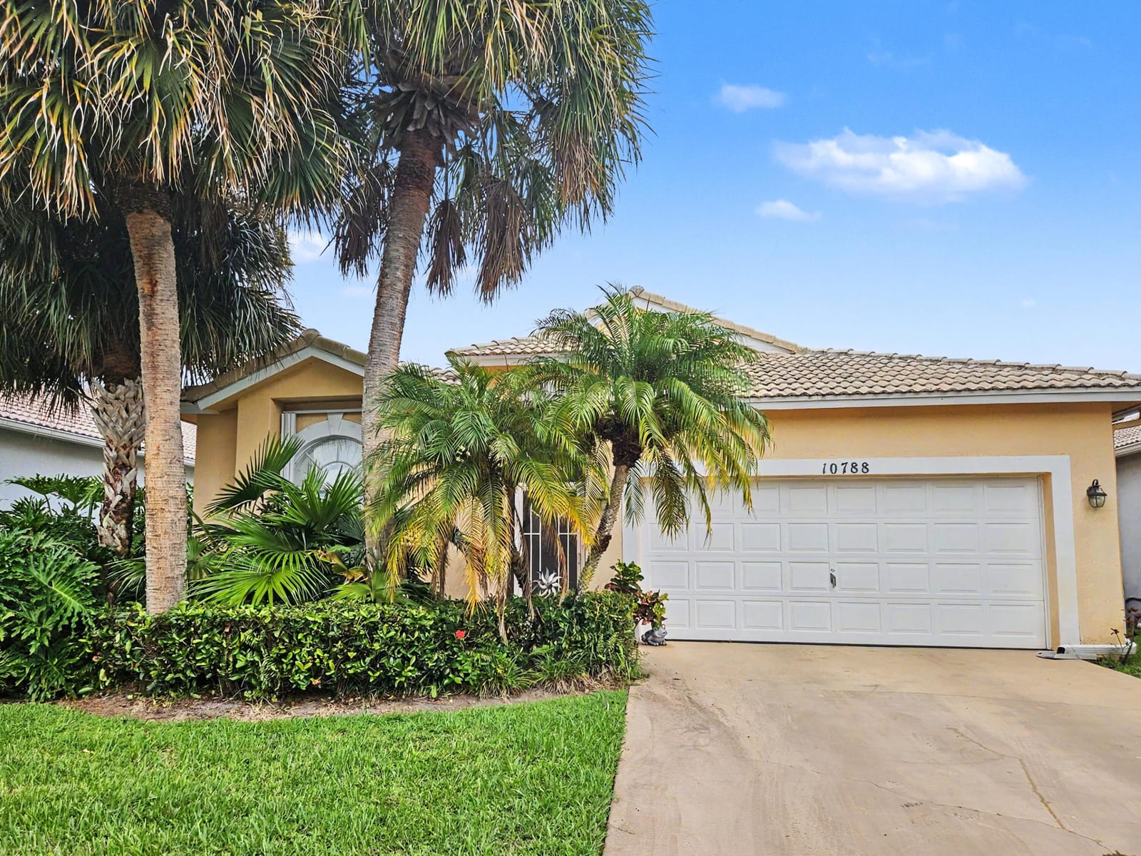 10788 Fillmore Drive — photo 6
