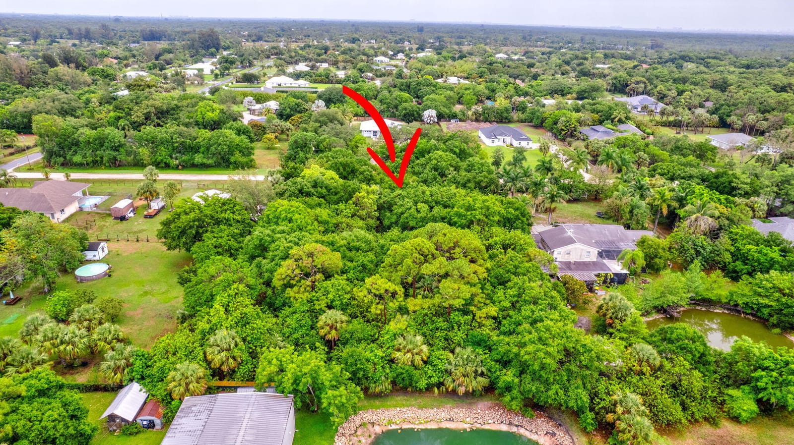 Xxxx 95th Avenue N, Jupiter Farms, FL 33478 photo 8