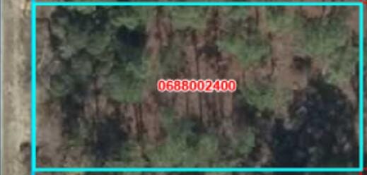000 SE 134th Court SE, Dunnellon, FL 34431 photo 1