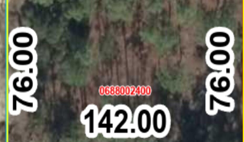 000 SE 134th Court SE, Dunnellon, FL 34431 photo 2
