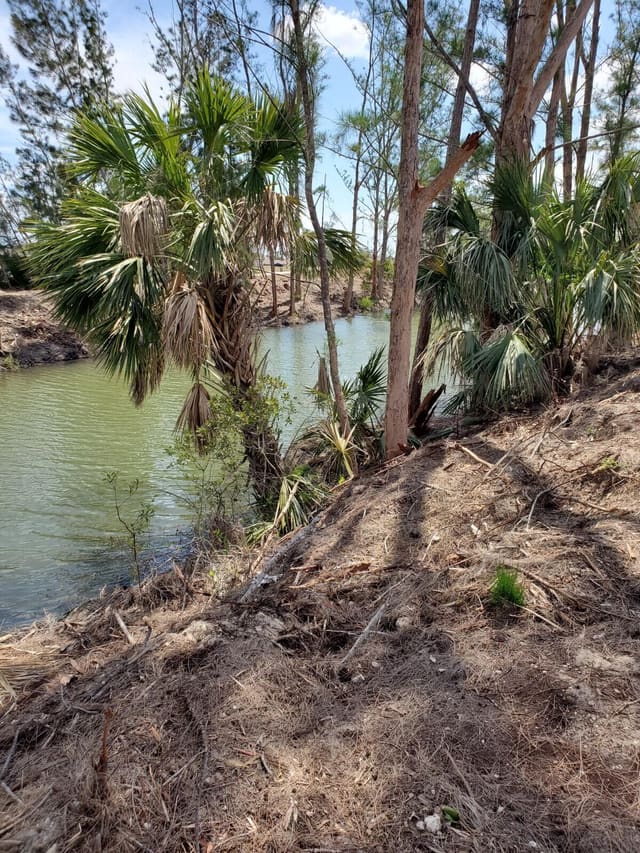 3905 NE 9TH Avenue, Gator Circle, Cape Coral, FL