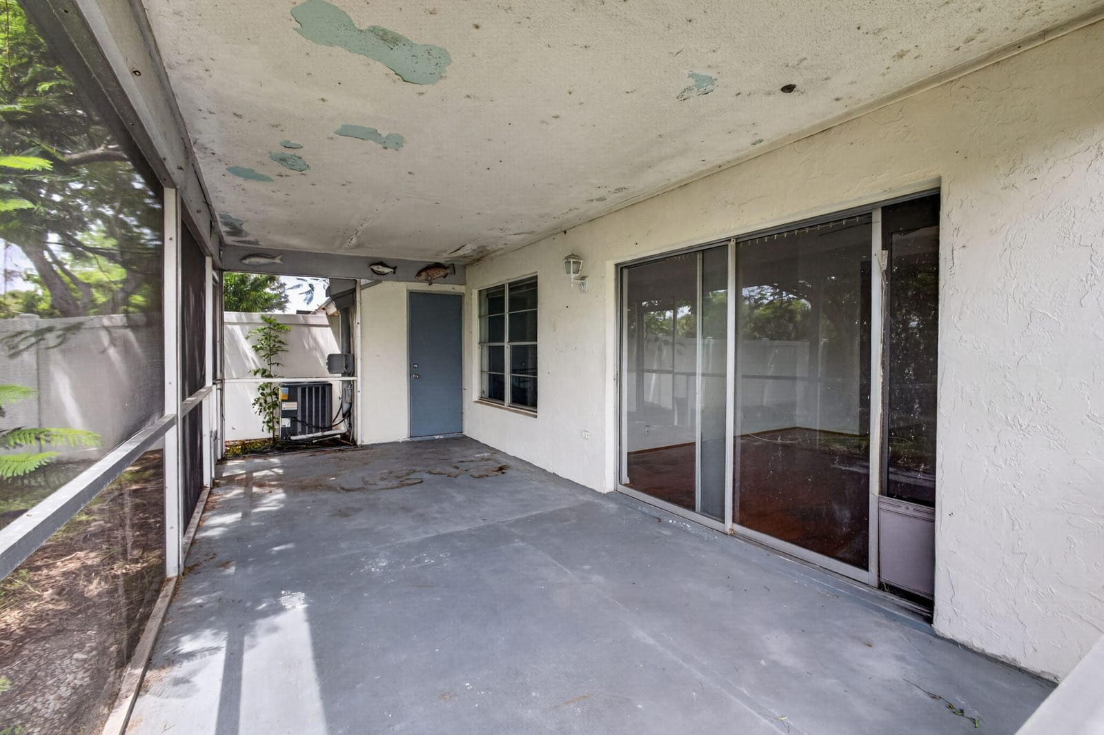 262 Palmetto Court — photo 12