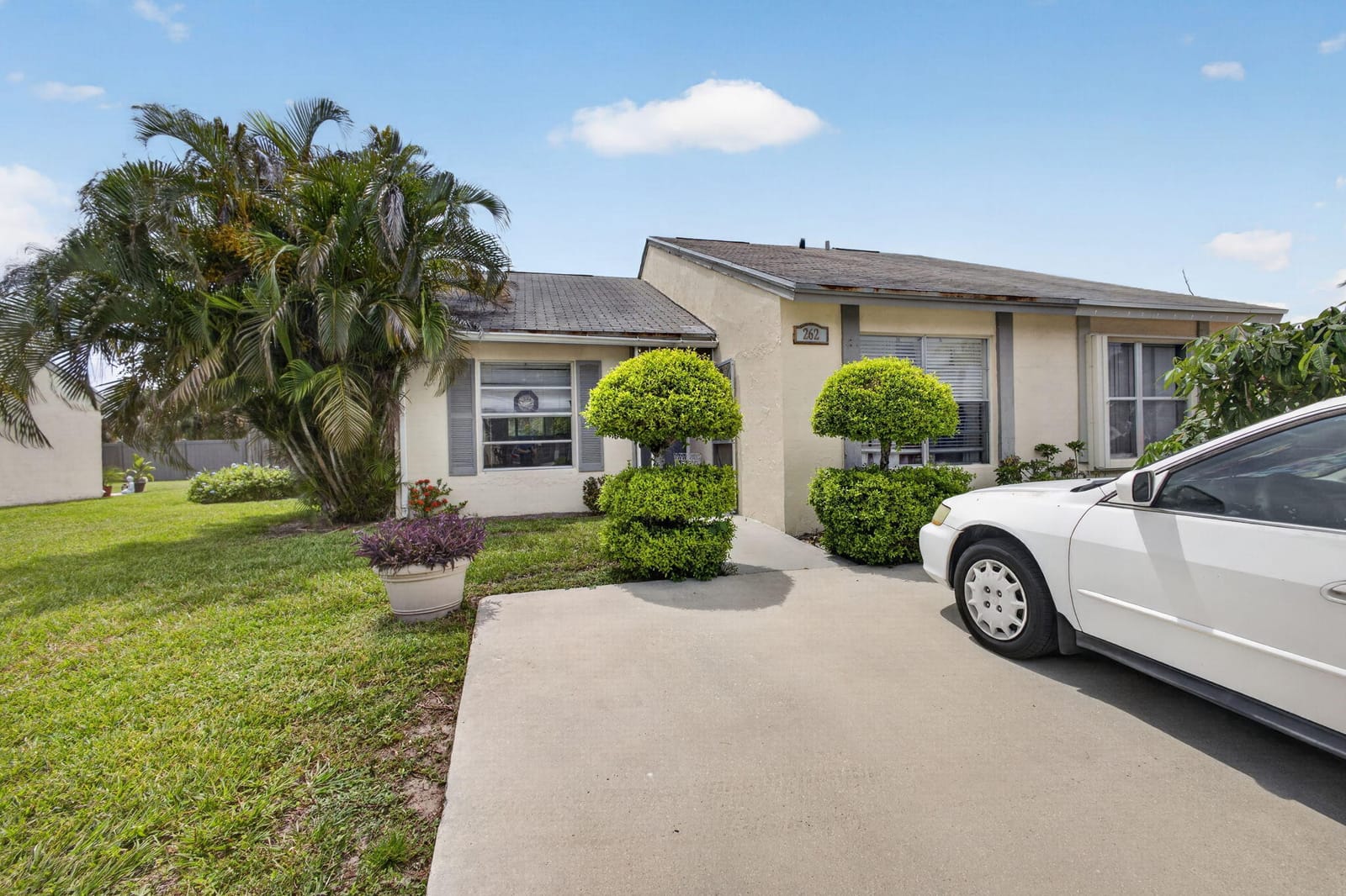 262 Palmetto Court — photo 3