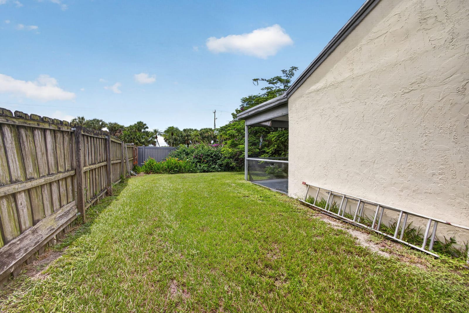 262 Palmetto Court — photo 6