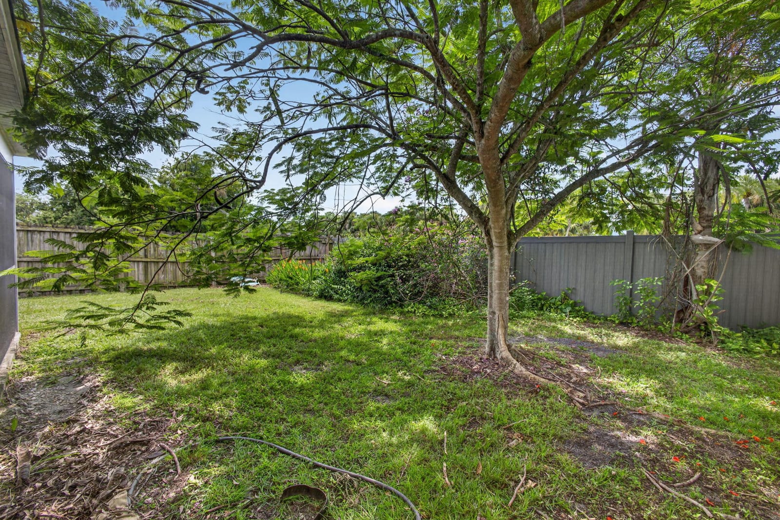 262 Palmetto Court — photo 9