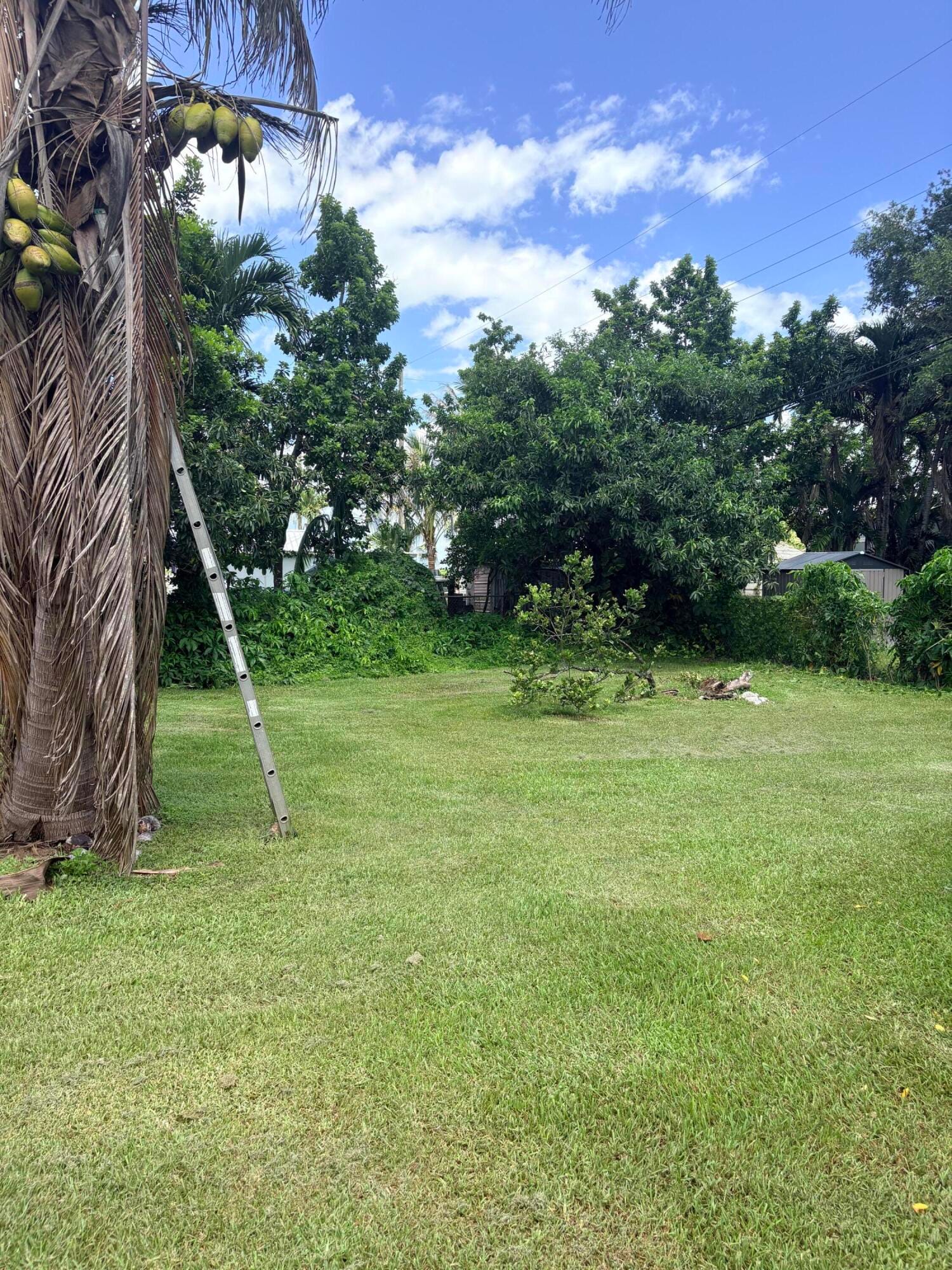 1117 NE 23RD Street, Belle Glade, FL 33430 photo 24