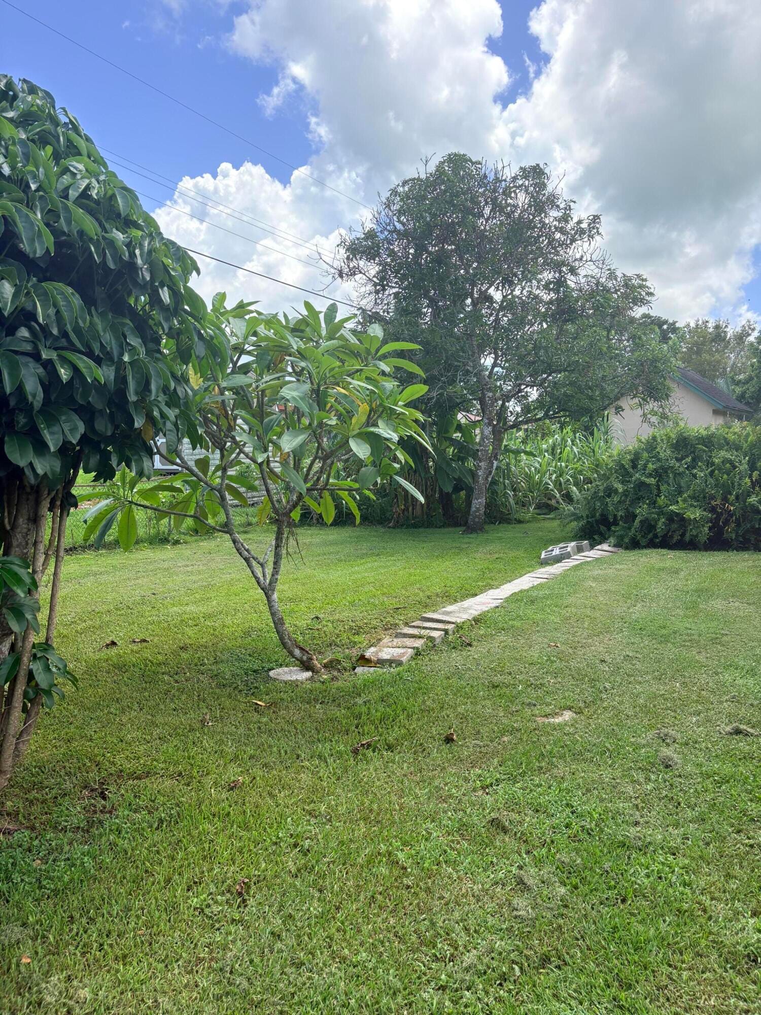 1117 NE 23RD Street, Belle Glade, FL 33430 photo 25