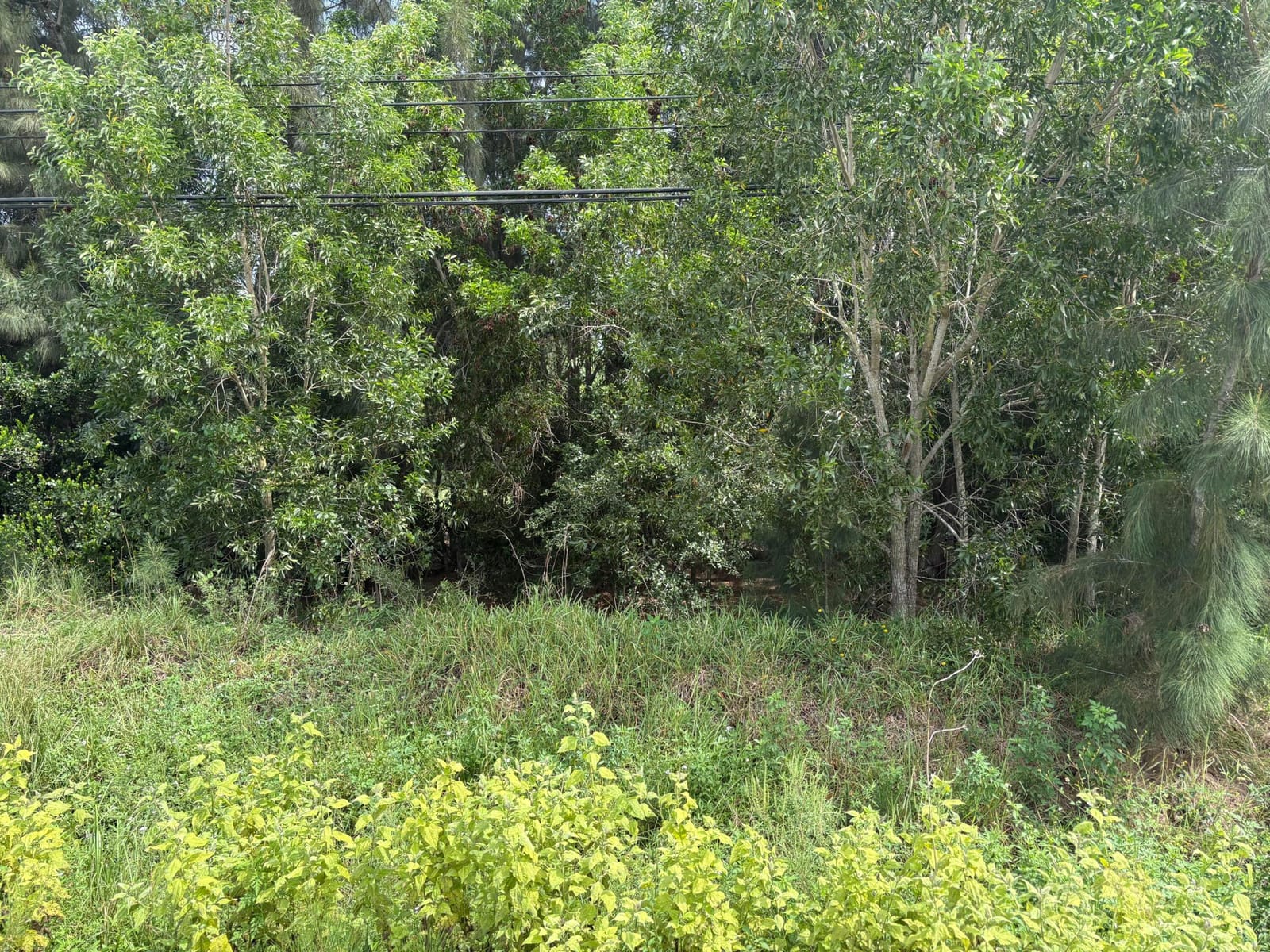 001226 W Indiantown Road W, Jupiter Farms, FL 33478 photo 7