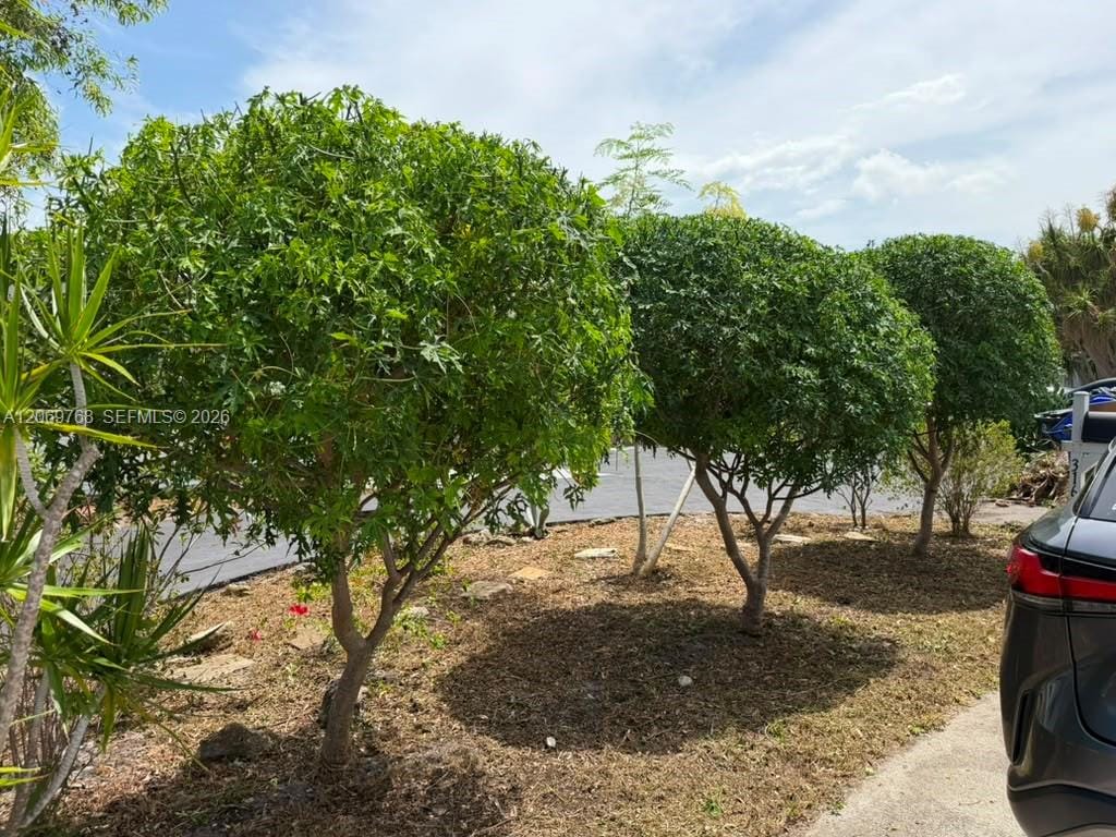 3160 NW 63rd Street, Fort Lauderdale, FL 33309 photo 4