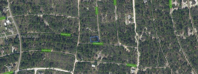416 Heaven Drive, Lake Placid, FL 33852