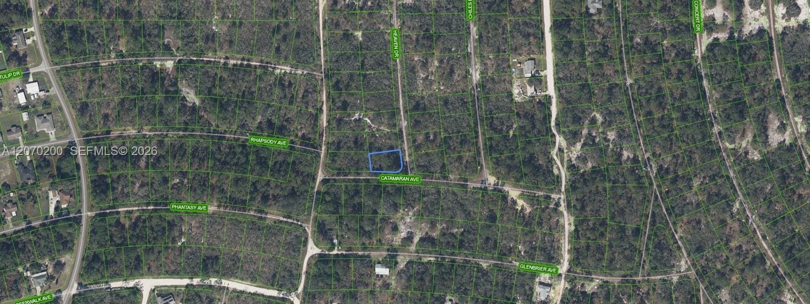 416 Heaven Drive, Lake Placid, FL 33852